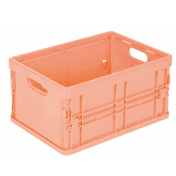 Crate mould 1